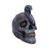 Serpentine Fate 19cm Skulls Sale Items
