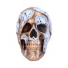Time Goes By 17.5cm Skulls Out Of Stock