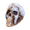 Time Goes By 17.5cm Skulls Out Of Stock