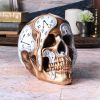 Time Goes By 17.5cm Skulls Out Of Stock