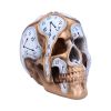 Time Goes By 17.5cm Skulls Out Of Stock