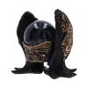 Baphomet Antiquity Snow Globe 22.5cm Baphomet NEMESIS NOW | EASTER SALE