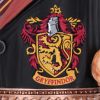 Harry Potter Hermione Collectible Tankard 15.5cm Fantasy Last Chance to Buy