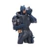 Batman & Catwoman Bust 30cm Comic Characters Comic Characters