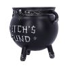 Witch's Fund 16.5cm Witchcraft & Wiccan NEMESIS NOW | BLACK FRIDAY SALE 2025