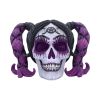 Drop Dead Gorgeous - Myths and Magic 20.5cm Skulls Halloween RRP Above 20