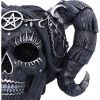 Drop Dead Gorgeous - Solve and Coagula 20.5cm Skulls Halloween RRP Above 20