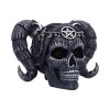 Drop Dead Gorgeous - Solve and Coagula 20.5cm Skulls Halloween RRP Above 20