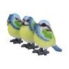 Three Wise Blue Tits 8cm Animals Last Chance to Buy