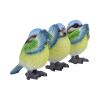 Three Wise Blue Tits 8cm Animals Last Chance to Buy