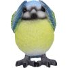 Three Wise Blue Tits 8cm Animals Last Chance to Buy