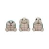 Three Wise Tortoises 8cm Animals NEMESIS NOW | EASTER SALE