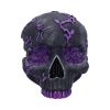 Rose Geode Skull 19cm Skulls Top 200 None Licensed
