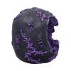 Rose Geode Skull 19cm Skulls Top 200 None Licensed
