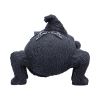 Arachnias 9.7cm Animals Top 200 None Licensed