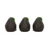 Three Wise Avocados 8.5cm Unspecified Last Chance to Buy