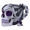 Drop Dead Gorgeous - Creepy and Kooky 16cm Skulls Halloween Party