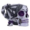 Drop Dead Gorgeous - Creepy and Kooky 16cm Skulls Halloween Party