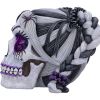 Drop Dead Gorgeous - Creepy and Kooky 16cm Skulls Halloween Party