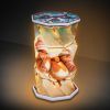 Winter Robins Foldable Lamp 21cm Animals Last Chance to Buy