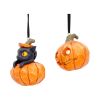 Pumpkin and Patch Hanging Ornaments (Set of 2) Cats Halloween Tree