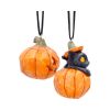 Pumpkin and Patch Hanging Ornaments (Set of 2) Cats Halloween Tree