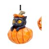 Pumpkin and Patch Hanging Ornaments (Set of 2) Cats Halloween Tree