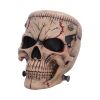 Hall of Horrors: The Monster of Madness Skulls New Arrivals