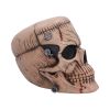 Hall of Horrors: The Monster of Madness Skulls New Arrivals
