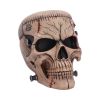 Hall of Horrors: The Monster of Madness Skulls New Arrivals