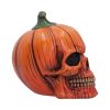 Hall of Horrors: The Spirit of Halloween Skulls New Arrivals