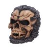 Hall of Horrors: The Beast of the Moon Skulls New Arrivals
