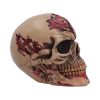 Hall of Horrors: The Walker of Death Skulls Stock Arrivals