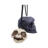 Grim and Grin Hanging Ornaments (Set of 2) Skulls Halloween Tree