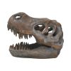 Tyrannosaurus Rex Skull Freestanding 16cm Dinosaurs Stock Arrivals