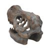 Tyrannosaurus Rex Skull Freestanding 16cm Dinosaurs Stock Arrivals