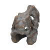 Tyrannosaurus Rex Skull Freestanding 16cm Dinosaurs Stock Arrivals