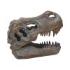 Tyrannosaurus Rex Skull Freestanding 16cm Dinosaurs Stock Arrivals
