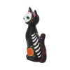 Sugar Kitty 26cm Cats Last Chance to Buy
