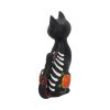 Sugar Kitty 26cm Cats Last Chance to Buy