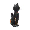 Sugar Kitty 26cm Cats Last Chance to Buy
