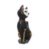 Sugar Kitty 26cm Cats Last Chance to Buy