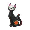 Sugar Kitty 26cm Cats Last Chance to Buy