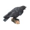 Raven's Call 20cm Ravens Every Day Is Halloween