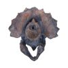Triceratops Head 23cm Dinosaurs Father's Day