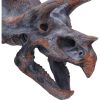 Triceratops Head 23cm Dinosaurs Father's Day