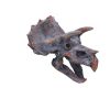 Triceratops Head 23cm Dinosaurs Father's Day