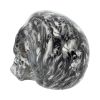 Soul 19cm Skulls Last Chance to Buy
