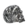 Soul 19cm Skulls Last Chance to Buy