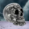 Soul 19cm Skulls Last Chance to Buy